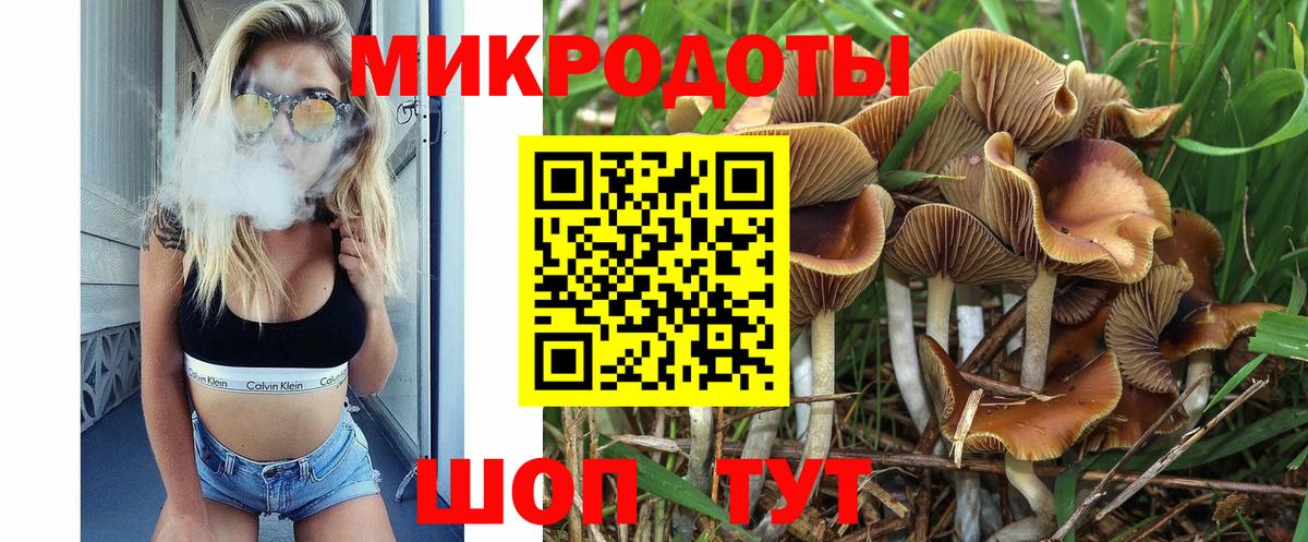 Псилоцибиновые грибы Psilocybine cubensis Лосино-Петровский