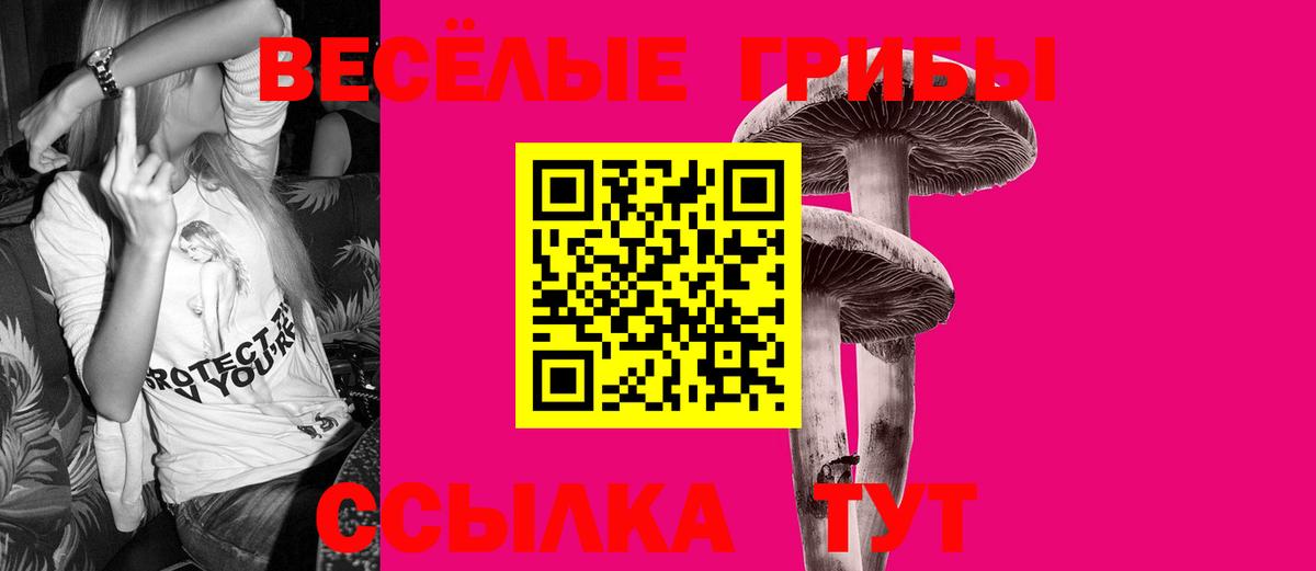Галлюциногенные грибы Psilocybe  Вход с VPN  Лосино-Петровский  Псилоцибиновые грибы MAGIC MUSHROOMS 